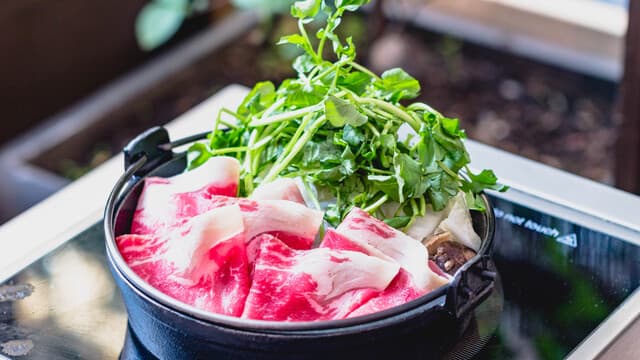Shabu Tatsu