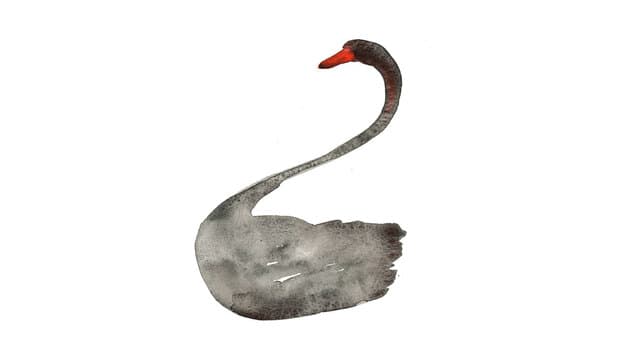 Swan Room